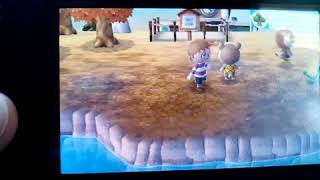 Part 4 Animal Crossing Amiibo