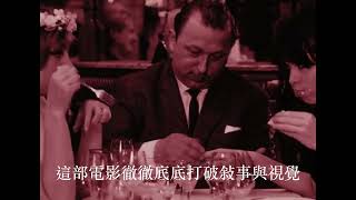 野雛菊介紹