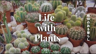 【 From Germany】 life with Plants