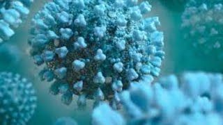 Royallab Stats Live Stream