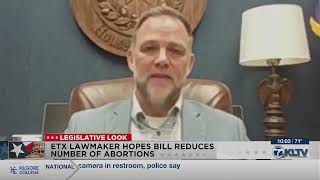 East Texan files bill criminalizing women who terminate their own pregnancies