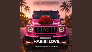 Ayni - Arabic Deep House