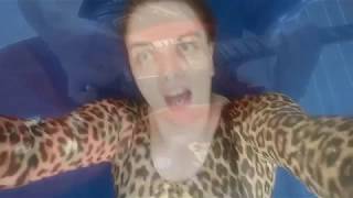 The Quagaars - Don't Talk To Me About Life (Music Video).