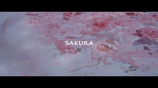 さくら / Sakura - by Geo Folk Tour