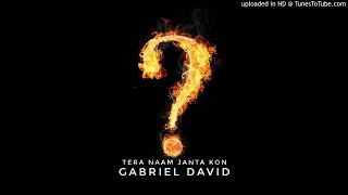 Gabriel David - Tere Naam Janta Kon? (Fury Rapstar Diss | Urdu Rap)