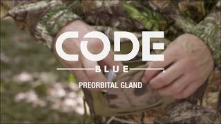 Code Blue Synthetic Pre-Orbital Gland