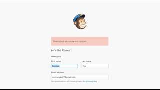 Setting Up Your Mail Chimp