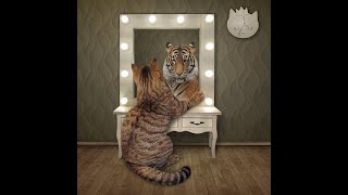 Prophecy of Belief - Believe It and You Will See It