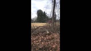 Tornado Damage   No Just Highland Hill Farm