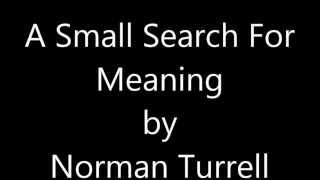 Small Search For Meaning