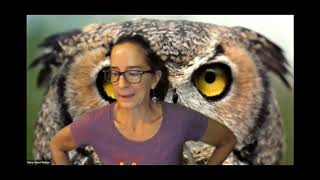 Houston Audubon Raptor Tour Virtual Field Trip