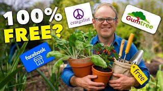 I Started a Garden With ZERO Budget - Here's What Happened