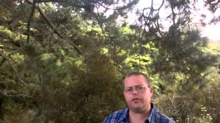 Rick, New Zealand- "Thank You John Taylor Gatto" - SNOWBALL Project!