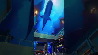 Inspire Resort [South Korea] - Overhead Screen