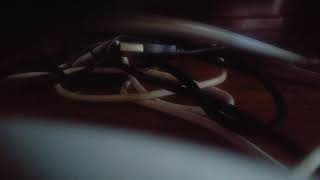 Nick Jr Face 1st Version