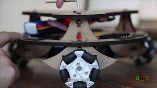 Robby: A French evolutive robot enhancing curiosity