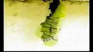 I C::ntr::l Nature - PureData customade software