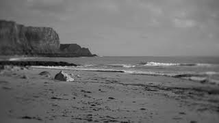 The Label Game   Live Modular Jam