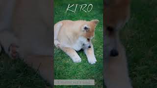 KIRO - just a friend