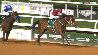 FOREVER YOUNG RETAINS THE SAUDI CUP! 🏆 | The Japanese giant sees off Nysos in a thriller at Riyadh