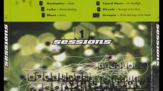 Backwater - Shady