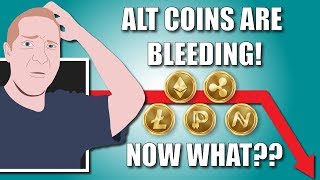 Are Alt Coins Done Bleeding?!  Bitcoin Update!