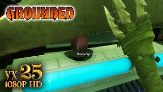 Getting The Fin Flop+ Lantern+ and Muscle Sprouts in GROUNDED Test Live PC