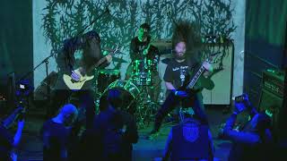 GOSUDAR - Live at Bumazhnaya fabrika 2022 (Proshot, full set)