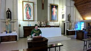 homily 10:00 am Mass Thirteenth Sunday in Ordinary Time June 27, 2021