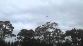 Micro t28 beginner third flight by 8 year old boy