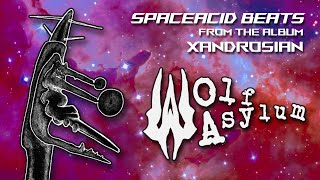 Meet the "XANDROSIAN" with an interstellar message of Trippy Psychedelic Space Acid.