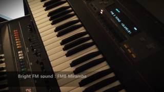 Tiergrinder - Ensoniq EPS (demo track)
