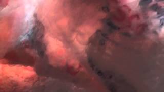 REMEMBECHO Live performance nottingham contemporary gallery