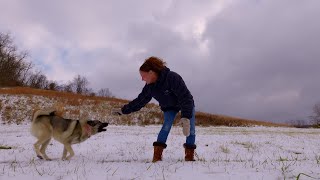 The roosters outsmarted me - Ep. 176