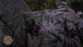 Red Dead Redemption 2 ahh shit!