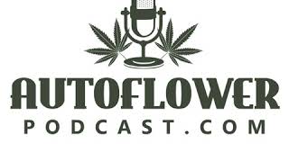 Episode 34: Mainlining Autoflower Cannabis w/ Green_75
