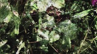 Diffusion by A.G (Full Film)