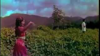 The Marv - Dancing in the Evergreen Fields