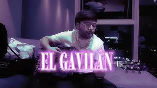 EL GAVILÁN - Tito Double P (Visualizer)