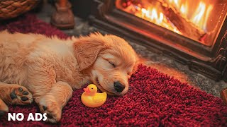 12 Hours Dog Calming Music 🐶🌈 Dog Anti-Separation Anxiety Relief Music 🎵 No Ads