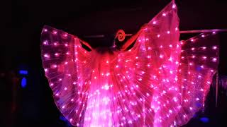 LED Butterfly