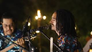 ZeeCeeKeely " Lion "