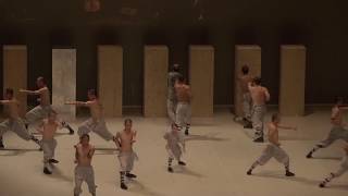 Torinodanza 2019 // arrivederci all'edizione 2020