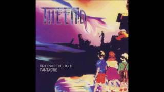 The Enid - Tripping The Light Fantastic