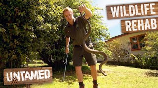 5 Of Australia's Wildest Animal Rescues | Untamed