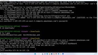 Shell Scripting Tutorial for Beginners