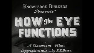 Is the Human Eye Just a Camera? | How the Eye Functions (1941) | Vintage Anatomy