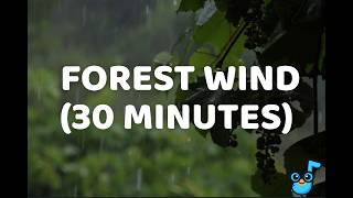 Wind Through Trees 🌬️ | 30 Minutes of Forest Rain · No Music