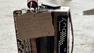 Пісня і біженці, що не зламались #пісня #song #ukraine 