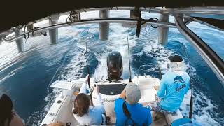 Wahoo fishing Roatan Honduras.